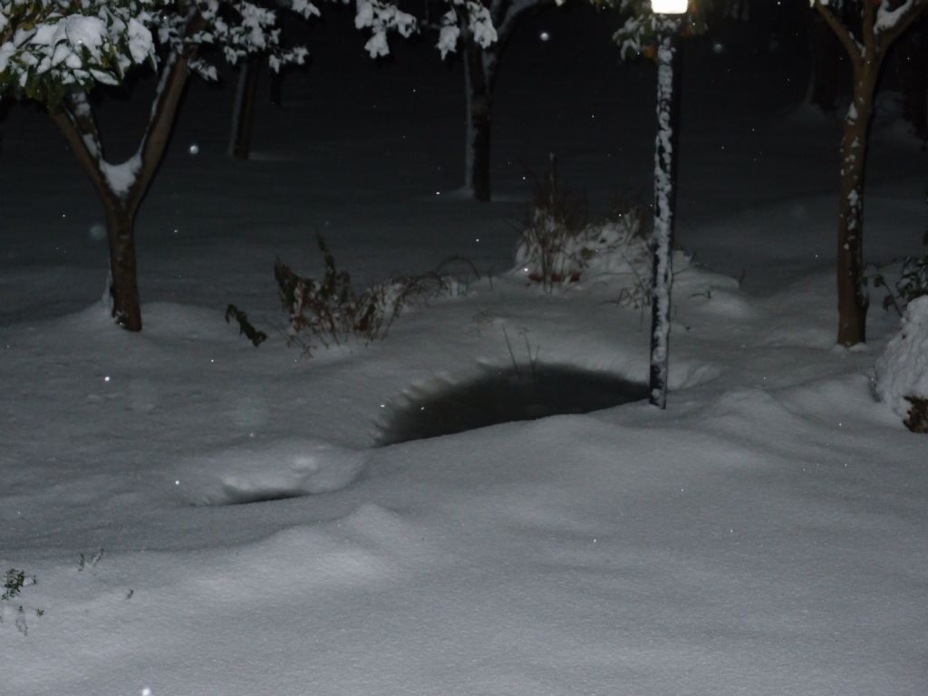 Stagno per anfibi